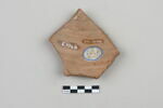 ostracon, image 2/3