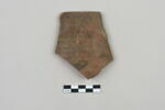 ostracon, image 1/2