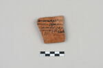 ostracon, image 1/3