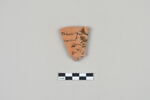 ostracon, image 1/3
