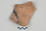 ostracon, image 2/3
