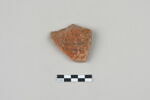 ostracon, image 1/3