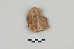 ostracon, image 2/3
