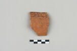 ostracon, image 1/3