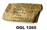 ostracon, image 3/3