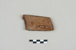 ostracon, image 2/3