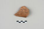 ostracon, image 1/3