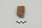 ostracon, image 1/3
