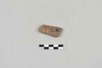 ostracon, image 2/3