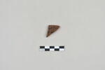 ostracon, image 1/3