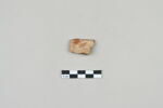 ostracon, image 2/3