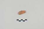 ostracon, image 1/3