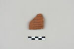 ostracon, image 1/3
