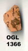 ostracon, image 5/5