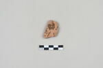 ostracon, image 1/5