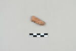 ostracon, image 1/5