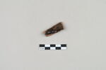 ostracon, image 4/5