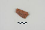 ostracon, image 1/3