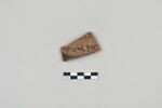ostracon, image 1/3