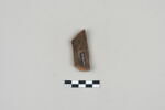 ostracon, image 2/3
