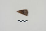 ostracon, image 2/3