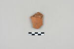 ostracon, image 1/3