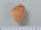 ostracon, image 1/4