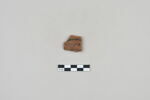 ostracon, image 1/3