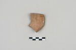 ostracon, image 2/3