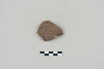 ostracon, image 1/3