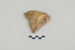ostracon, image 2/3