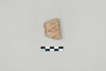 ostracon, image 1/3