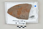 ostracon, image 2/3