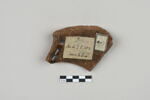 ostracon, image 2/4