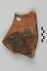 ostracon, image 2/5