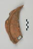 ostracon, image 3/8