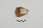 ostracon, image 2/3