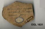 ostracon, image 3/3