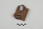 ostracon, image 2/3