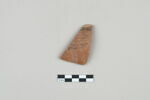 ostracon, image 1/3