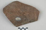 ostracon, image 1/3