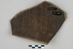 ostracon, image 2/3