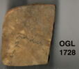ostracon, image 3/3