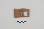 ostracon, image 2/3