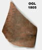 ostracon, image 3/3