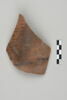 ostracon, image 1/3