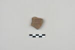 ostracon, image 1/3