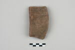 ostracon, image 1/3