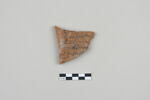 ostracon, image 1/3