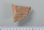 ostracon, image 1/4